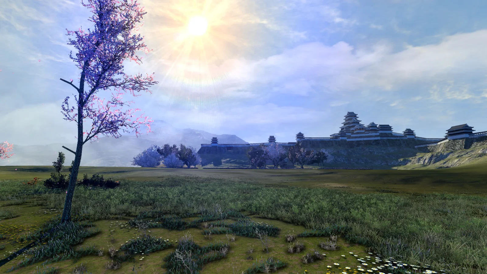 Classic Shogun 2 open grass battlefield below a distant castle at sunset